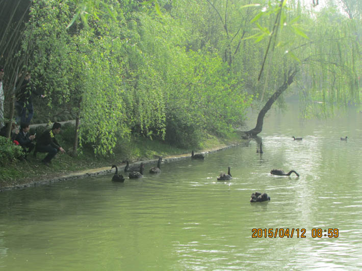 1690858894875959.jpg 1.jpg